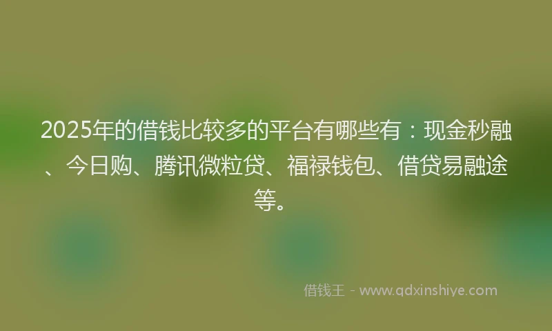 2025年的借钱比较多的平台有哪些有：现金秒融、今日购、腾讯微粒贷、福禄钱包、借贷易融途等。