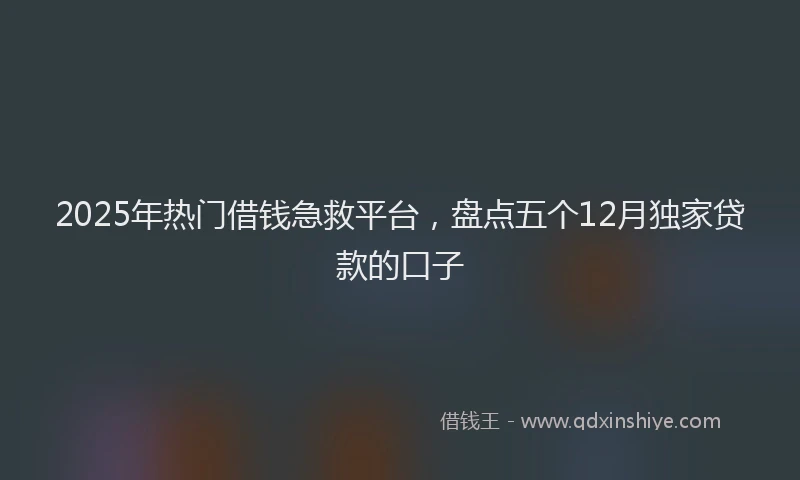 2025年热门借钱急救平台，盘点五个12月独家贷款的口子