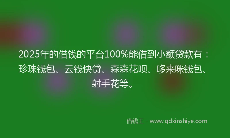 2025年的借钱的平台100%能借到小额贷款有：珍珠钱包、云钱快贷、森森花呗、哆来咪钱包、射手花等。