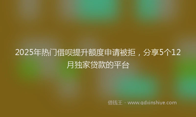 2025年热门借呗提升额度申请被拒，分享5个12月独家贷款的平台