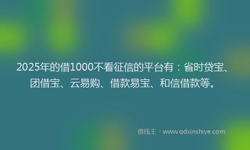 2025年的借1000不看征信的平台有：省时贷宝、团借宝、云易购、借款易宝、和信借款等。