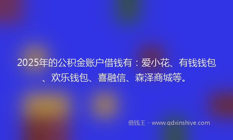 2025年的公积金账户借钱有：爱小花、有钱钱包、欢乐钱包、喜融信、森泽商城等。