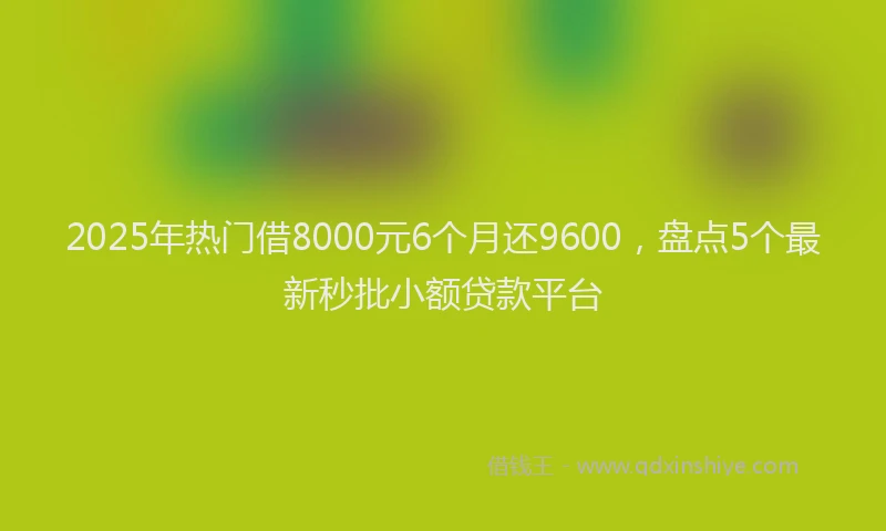 2025年热门借8000元6个月还9600，盘点5个最新秒批小额贷款平台