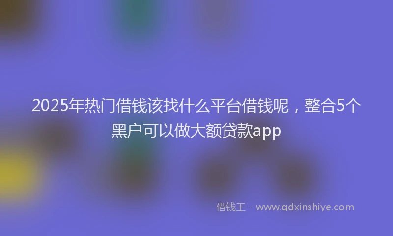 2025年热门借钱该找什么平台借钱呢，整合5个黑户可以做大额贷款app