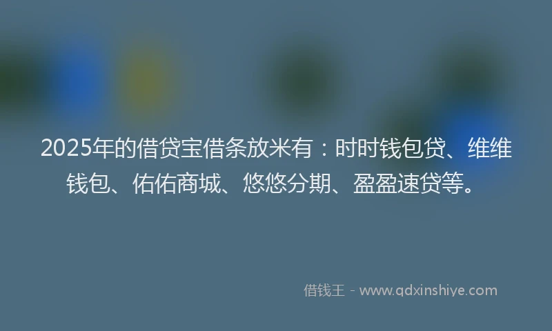 2025年的借贷宝借条放米有：时时钱包贷、维维钱包、佑佑商城、悠悠分期、盈盈速贷等。