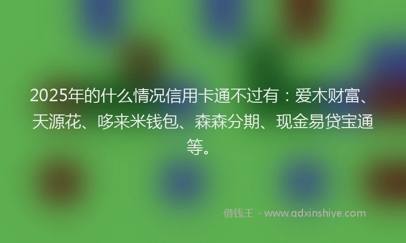 2025年的什么情况信用卡通不过有：爱木财富、天源花、哆来米钱包、森森分期、现金易贷宝通等。