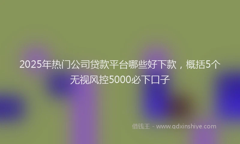 2025年热门公司贷款平台哪些好下款，概括5个无视风控5000必下口子