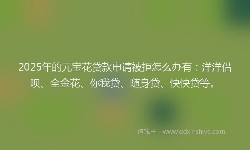 2025年的元宝花贷款申请被拒怎么办有：洋洋借呗、全金花、你我贷、随身贷、快快贷等。