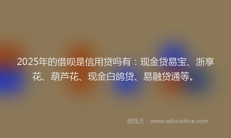 2025年的借呗是信用贷吗有：现金贷易宝、浙享花、葫芦花、现金白鸽贷、易融贷通等。