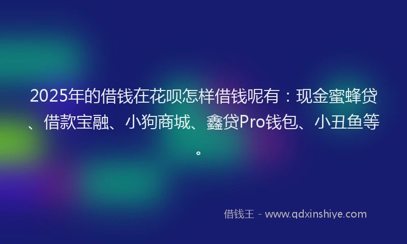 2025年的借钱在花呗怎样借钱呢有：现金蜜蜂贷、借款宝融、小狗商城、鑫贷Pro钱包、小丑鱼等。