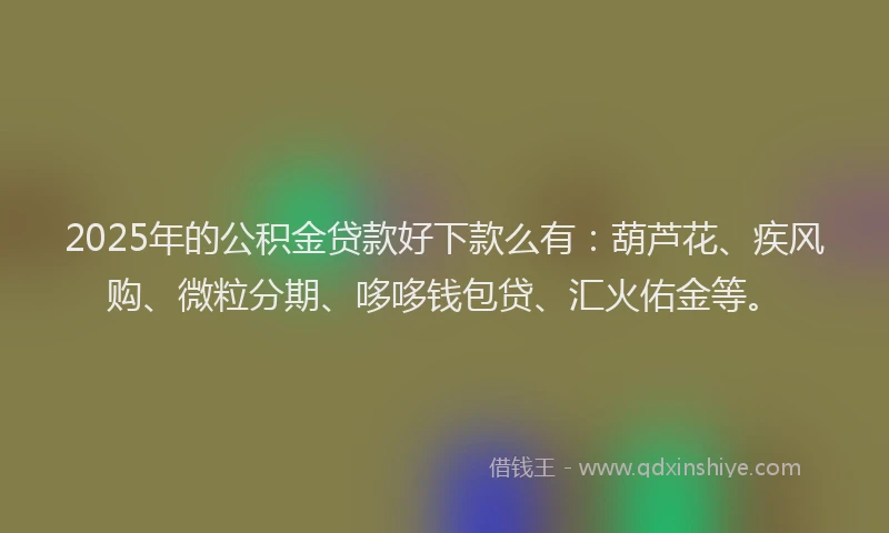 2025年的公积金贷款好下款么有：葫芦花、疾风购、微粒分期、哆哆钱包贷、汇火佑金等。