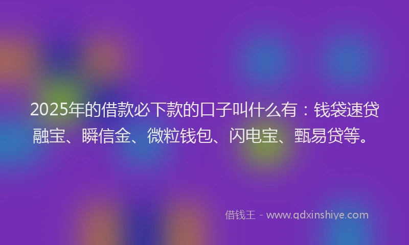 2025年的借款必下款的口子叫什么有：钱袋速贷融宝、瞬信金、微粒钱包、闪电宝、甄易贷等。
