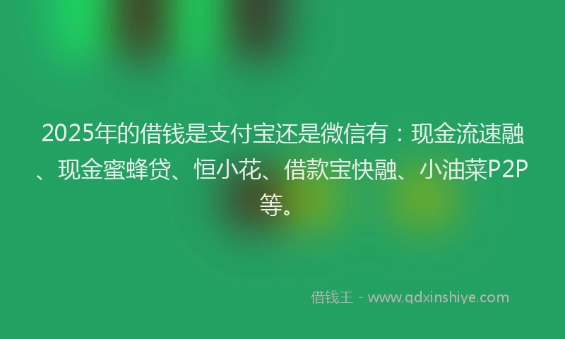 2025年的借钱是支付宝还是微信有：现金流速融、现金蜜蜂贷、恒小花、借款宝快融、小油菜P2P等。