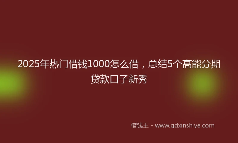 2025年热门借钱1000怎么借，总结5个高能分期贷款口子新秀