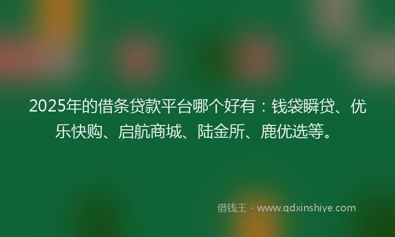 2025年的借条贷款平台哪个好有:钱袋瞬贷、优乐快购、启航商城、陆金所、鹿优选等。