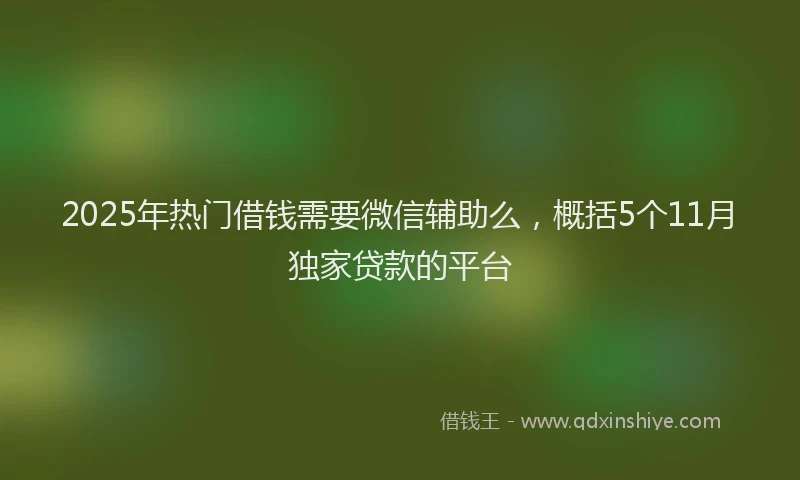 2025年热门借钱需要微信辅助么，概括5个11月独家贷款的平台