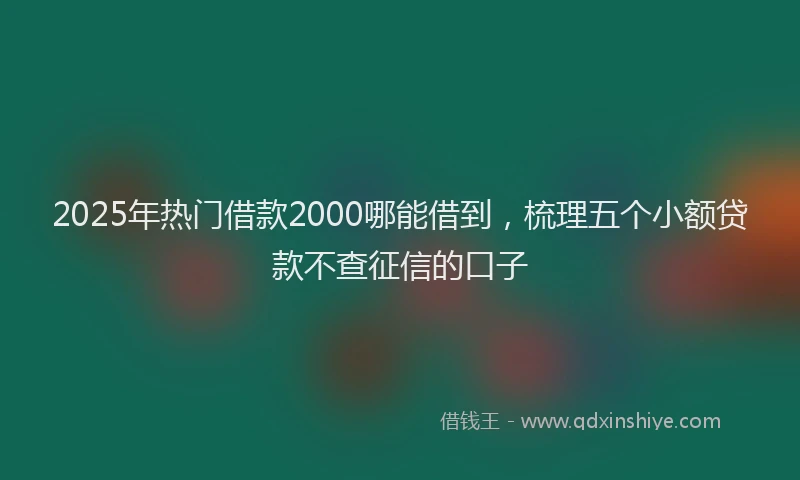 2025年热门借款2000哪能借到，梳理五个小额贷款不查征信的口子