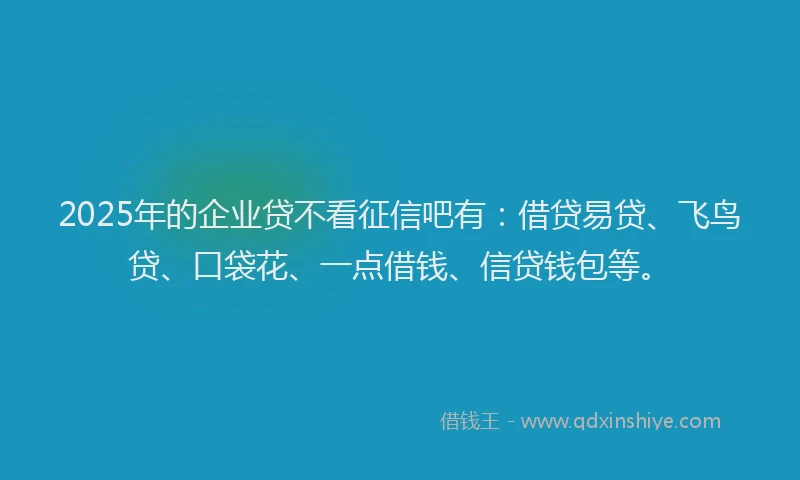 2025年的企业贷不看征信吧有：借贷易贷、飞鸟贷、口袋花、一点借钱、信贷钱包等。