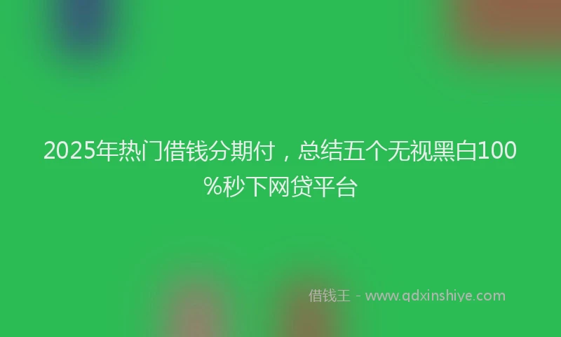 2025年热门借钱分期付，总结五个无视黑白100%秒下网贷平台