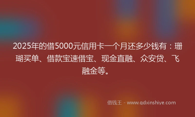 2025年的借5000元信用卡一个月还多少钱有：珊瑚买单、借款宝速借宝、现金直融、众安贷、飞融金等。