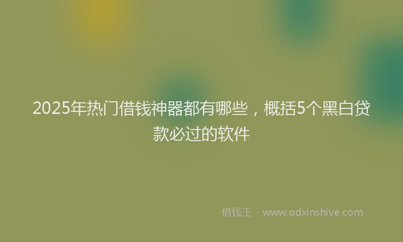 2025年热门借钱神器都有哪些，概括5个黑白贷款必过的软件