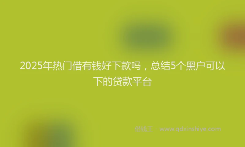 2025年热门借有钱好下款吗，总结5个黑户可以下的贷款平台