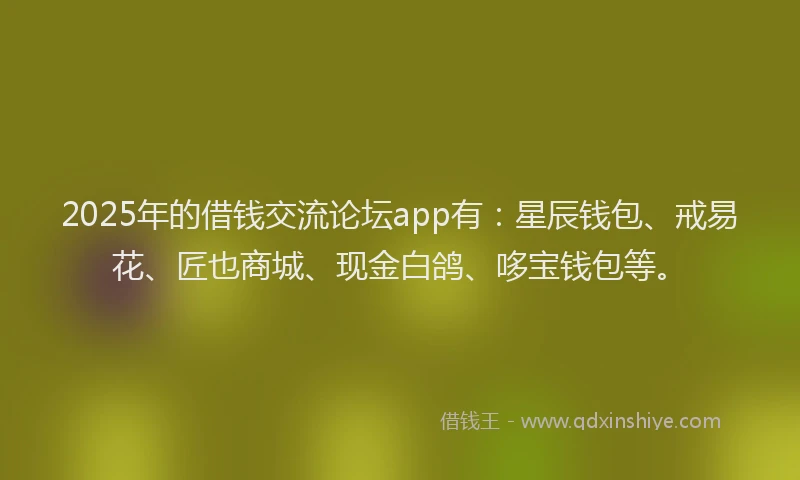 2025年的借钱交流论坛app有：星辰钱包、戒易花、匠也商城、现金白鸽、哆宝钱包等。