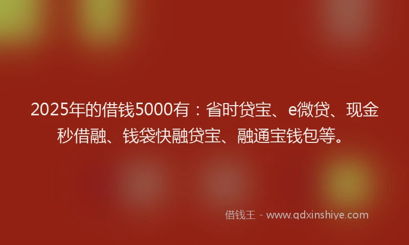 2025年的借钱5000有：省时贷宝、e微贷、现金秒借融、钱袋快融贷宝、融通宝钱包等。