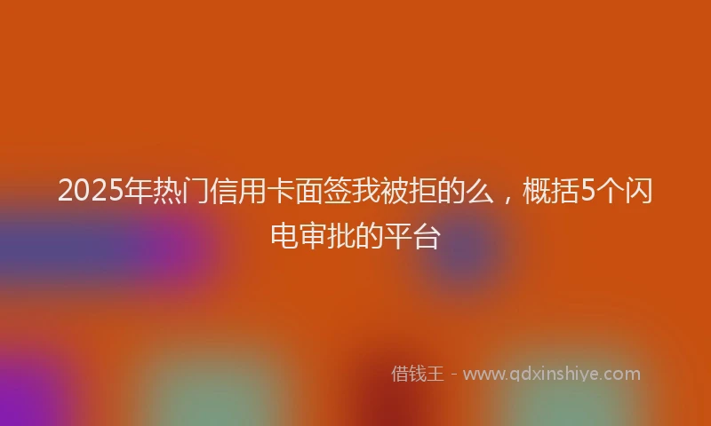2025年热门信用卡面签我被拒的么，概括5个闪电审批的平台