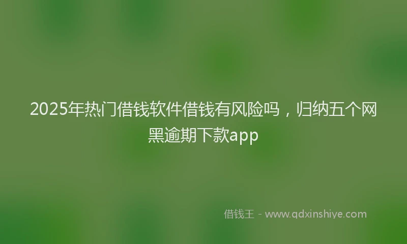 2025年热门借钱软件借钱有风险吗，归纳五个网黑逾期下款app