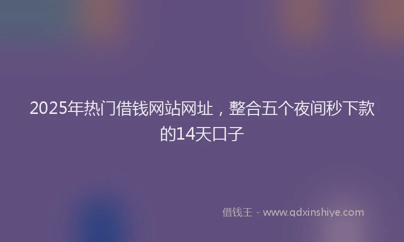 2025年热门借钱网站网址，整合五个夜间秒下款的14天口子