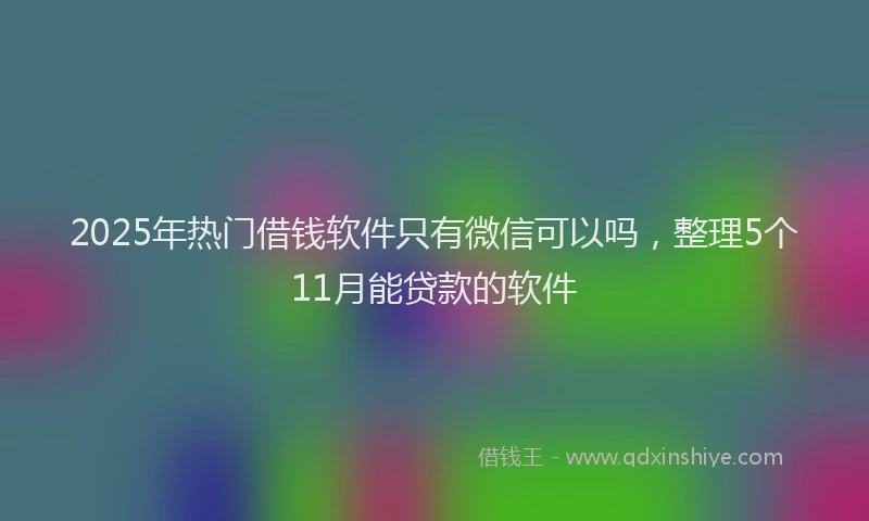 2025年热门借钱软件只有微信可以吗，整理5个11月能贷款的软件