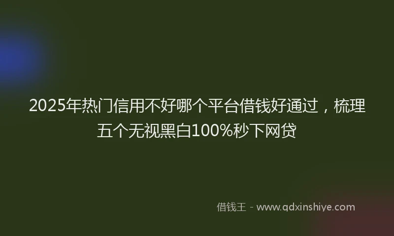 2025年热门信用不好哪个平台借钱好通过，梳理五个无视黑白100%秒下网贷