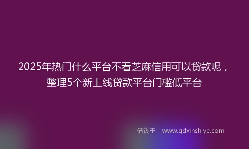 2025年热门什么平台不看芝麻信用可以贷款呢，整理5个新上线贷款平台门槛低平台