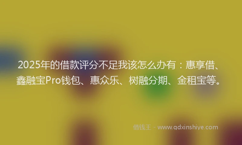2025年的借款评分不足我该怎么办有：惠享借、鑫融宝Pro钱包、惠众乐、树融分期、金租宝等。