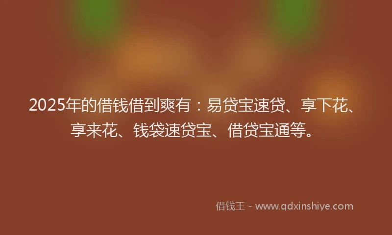2025年的借钱借到爽有：易贷宝速贷、享下花、享来花、钱袋速贷宝、借贷宝通等。