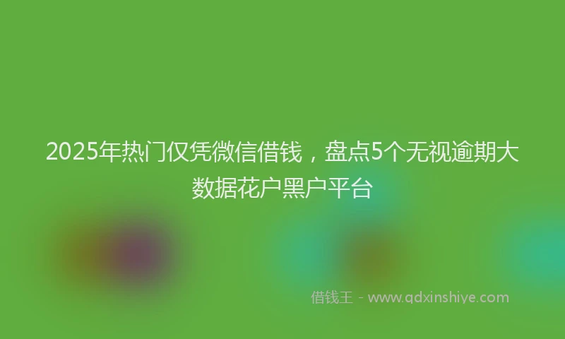 2025年热门仅凭微信借钱，盘点5个无视逾期大数据花户黑户平台