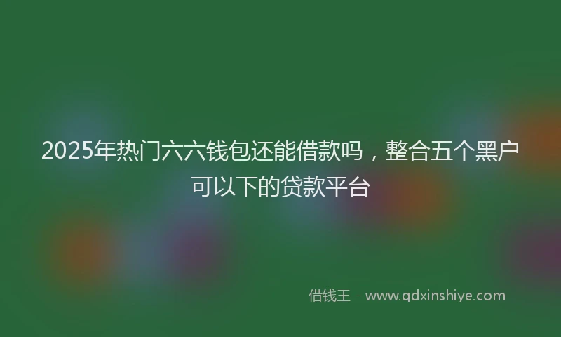 2025年热门六六钱包还能借款吗，整合五个黑户可以下的贷款平台