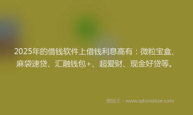 2025年的借钱软件上借钱利息高有：微粒宝盒、麻袋速贷、汇融钱包+、超爱财、现金好贷等。