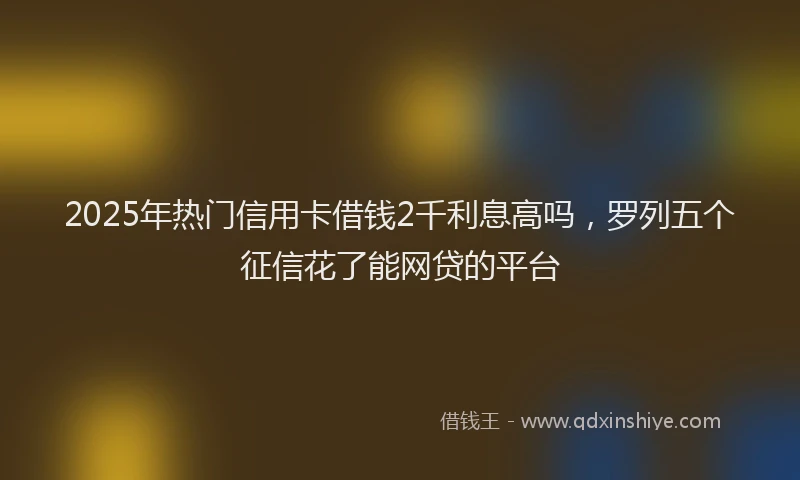 2025年热门信用卡借钱2千利息高吗，罗列五个征信花了能网贷的平台