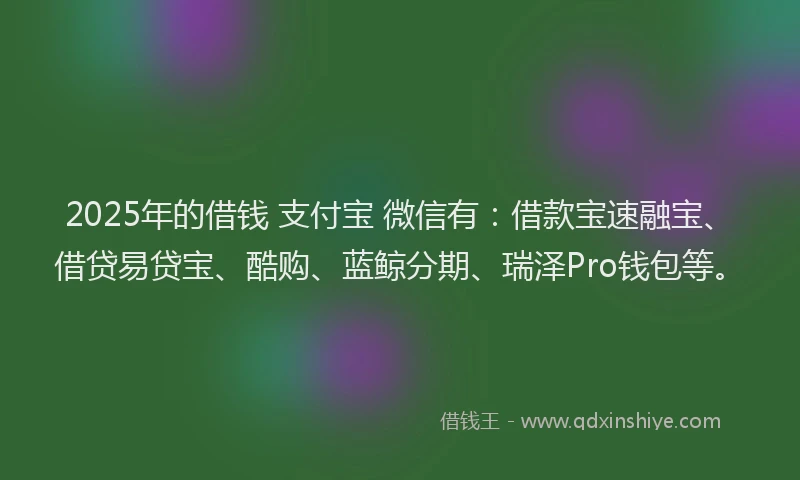 2025年的借钱 支付宝 微信有：借款宝速融宝、借贷易贷宝、酷购、蓝鲸分期、瑞泽Pro钱包等。