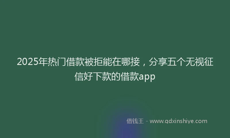 2025年热门借款被拒能在哪接，分享五个无视征信好下款的借款app