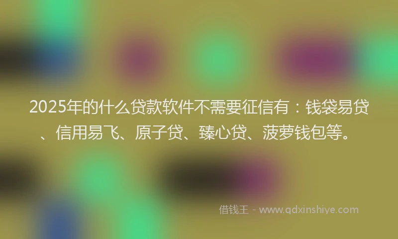 2025年的什么贷款软件不需要征信有：钱袋易贷、信用易飞、原子贷、臻心贷、菠萝钱包等。