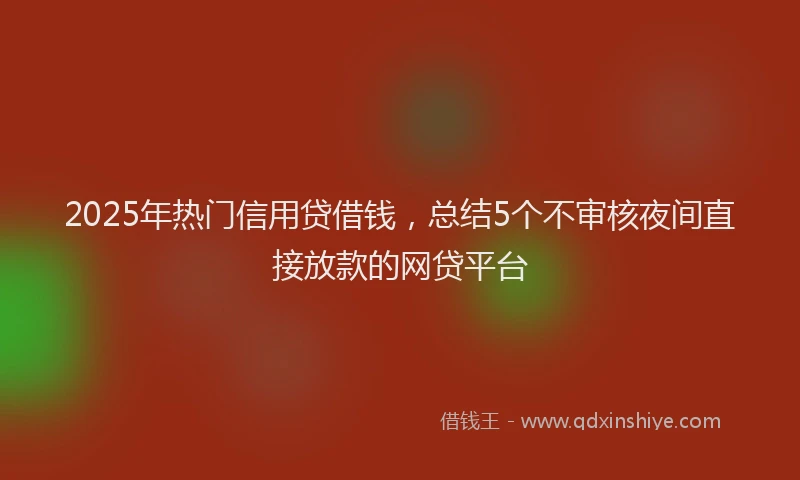 2025年热门信用贷借钱，总结5个不审核夜间直接放款的网贷平台
