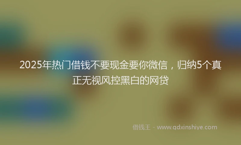 2025年热门借钱不要现金要你微信，归纳5个真正无视风控黑白的网贷