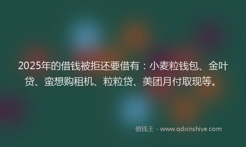2025年的借钱被拒还要借有：小麦粒钱包、金叶贷、蛮想购租机、粒粒贷、美团月付取现等。