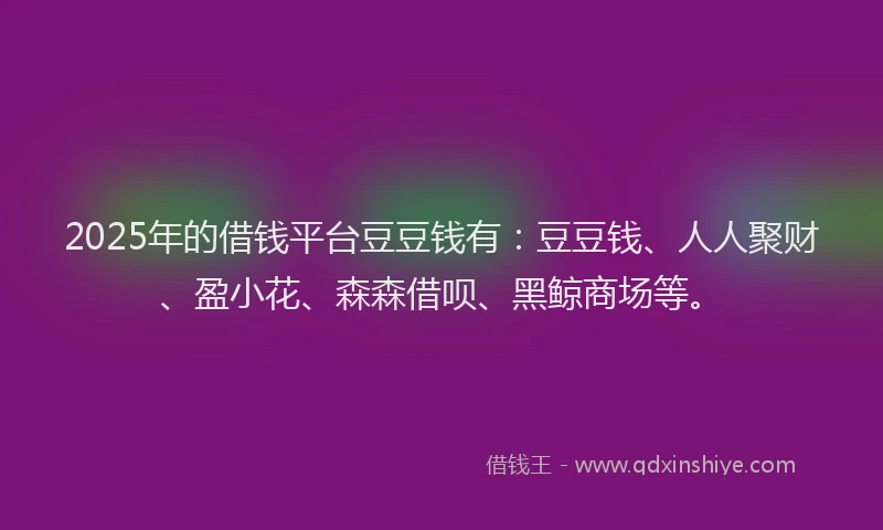 2025年的借钱平台豆豆钱有：豆豆钱、人人聚财、盈小花、森森借呗、黑鲸商场等。