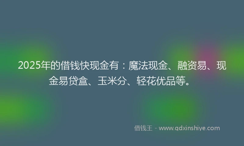 2025年的借钱快现金有：魔法现金、融资易、现金易贷盒、玉米分、轻花优品等。