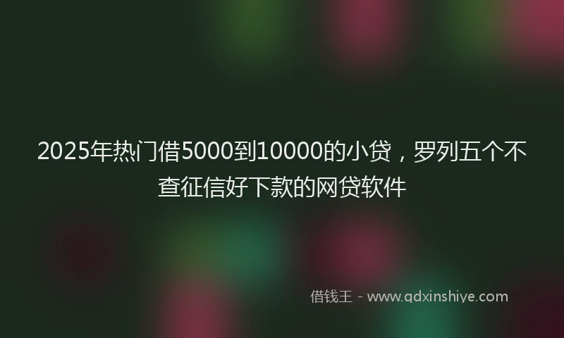 2025年热门借5000到10000的小贷，罗列五个不查征信好下款的网贷软件