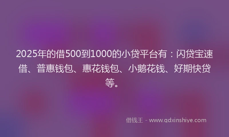 2025年的借500到1000的小贷平台有：闪贷宝速借、普惠钱包、惠花钱包、小鹅花钱、好期快贷等。